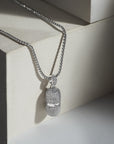 Iced out Capsule Pendant with 22" jared chain