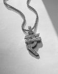 Iced Out Rupee Pendant with 22" chain