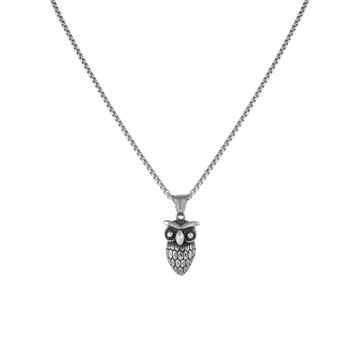 Silver Owl pendant with jared chain