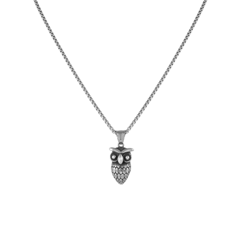 Silver Owl pendant with jared chain