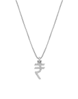 Iced Out Rupee Pendant with 22" chain