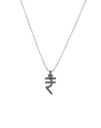 Iced Out Rupee Pendant with 22" chain